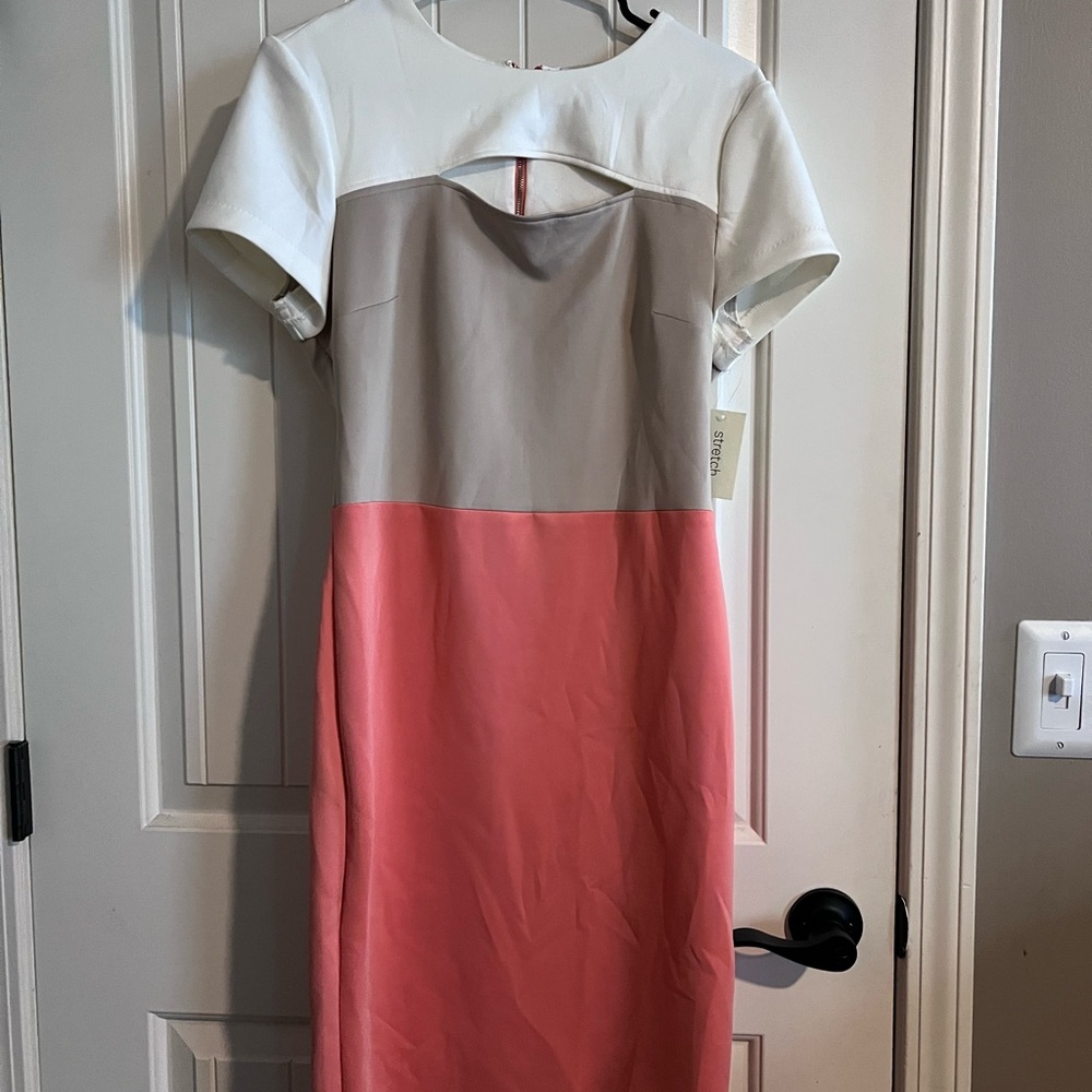 ECI White and Brown Sheath Dress Short Sleeve Crew Neck